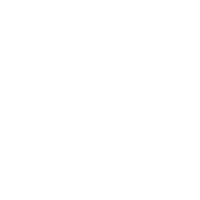 Chicken Icon 